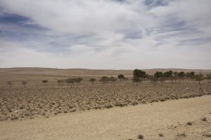 Algérie_02 FBIMG_922702