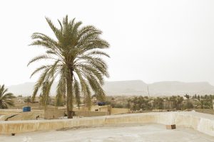 Algérie_02 FBIMG_929312