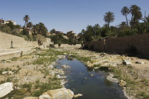 Algérie_03 FB IMG_9389 10