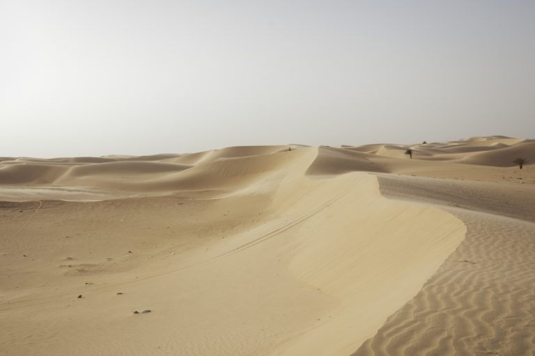 Algérie_04IMG_9507 10