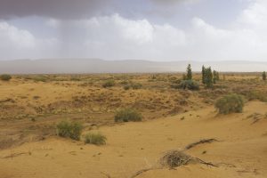 Algérie_06IMG_9750 06