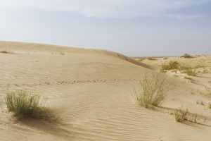 Algérie_06IMG_9782 09