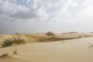 Algérie_06IMG_9784 10