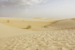 Algérie_06IMG_9806 13