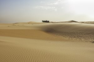 Algérie_06IMG_9817 15