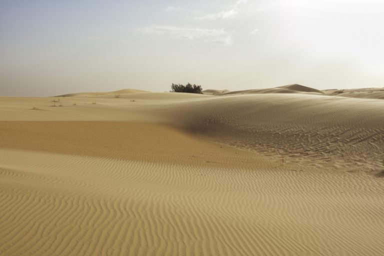 Lire la suite à propos de l’article Le goût du couscous