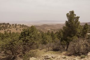 Algérie_07IMG_0242 05
