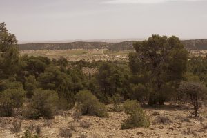 Algérie_07IMG_0251 08