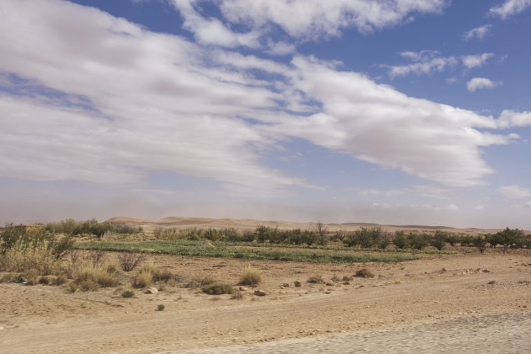 Algérie_07IMG_9858 02