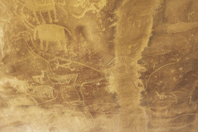 Algérie_07IMG_9887 08