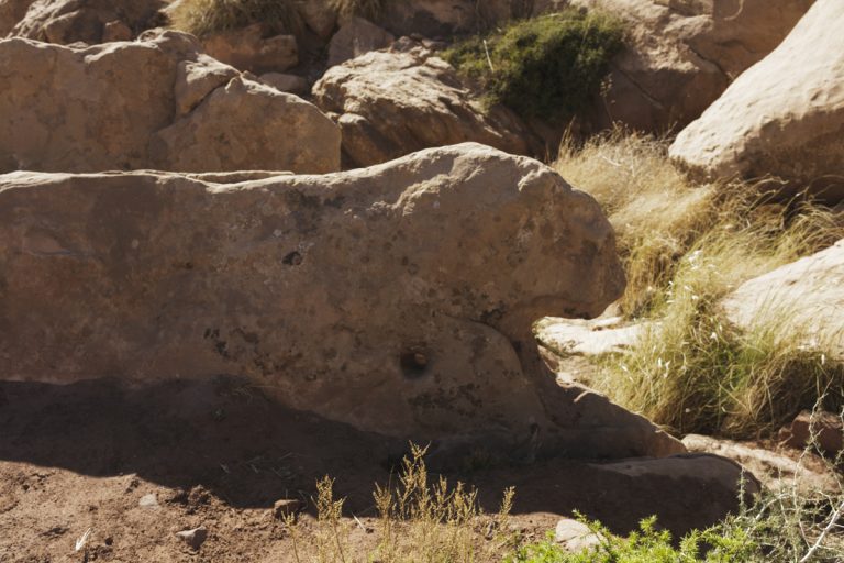 Algérie_07IMG_9900 09