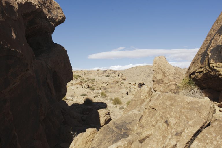 Algérie_07IMG_9915 12