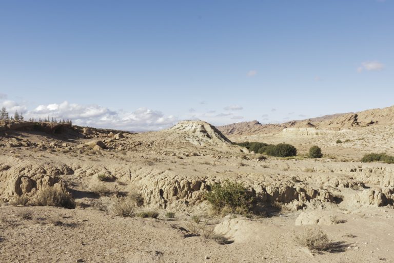 Algérie_07IMG_9926 13