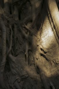 Algérie_11IMG_0419 14