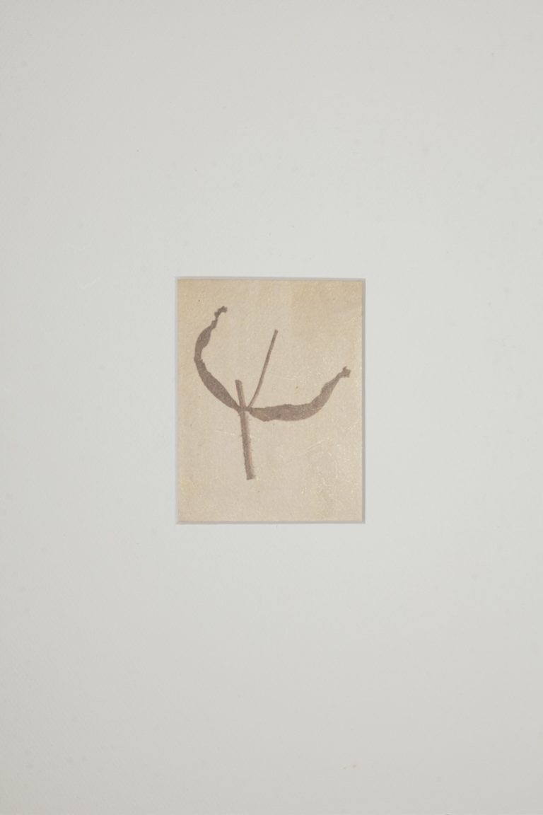 Lire la suite à propos de l’article Chemin faisant