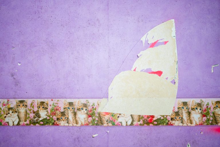 Lire la suite à propos de l’article Destruction