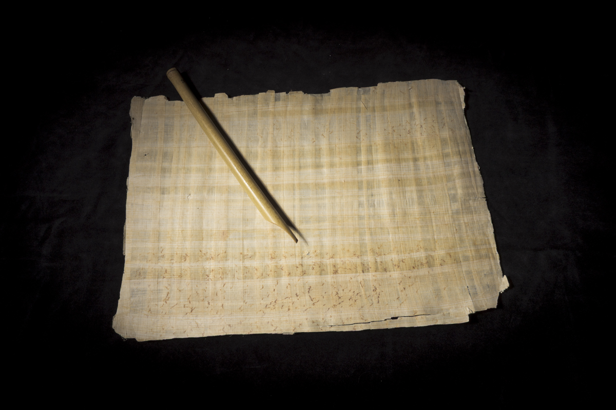 Lire la suite à propos de l’article Protégé : Brie_comte_robert